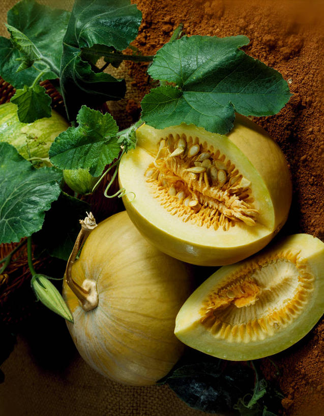 无人,竖图,俯视,室内,特写,白天,南瓜,蔬菜,叶子,切开,阴影,新鲜,反射,影子,泥土,土壤,金瓜,食品,绿叶,番瓜,食物,三个,绿色,切,嫩叶,有机食品,绿色食品,麦瓜,倭瓜,剖面,红壤,切面,叶,叶片,红土,彩图,高角度拍摄