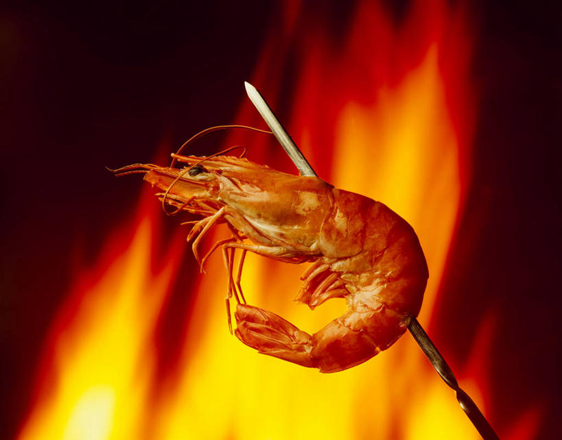 海鲜,无人,横图,俯视,室内,特写,白天,阴影,朦胧,模糊,光线,火焰,影子,肉,虾,燃烧,水产,肉类,竹签,海洋生物,一个,点燃,对虾,单个,虾肉,火光,水生动物,海产品,水生物,肉食,海底动物,取食签,彩图,高角度拍摄