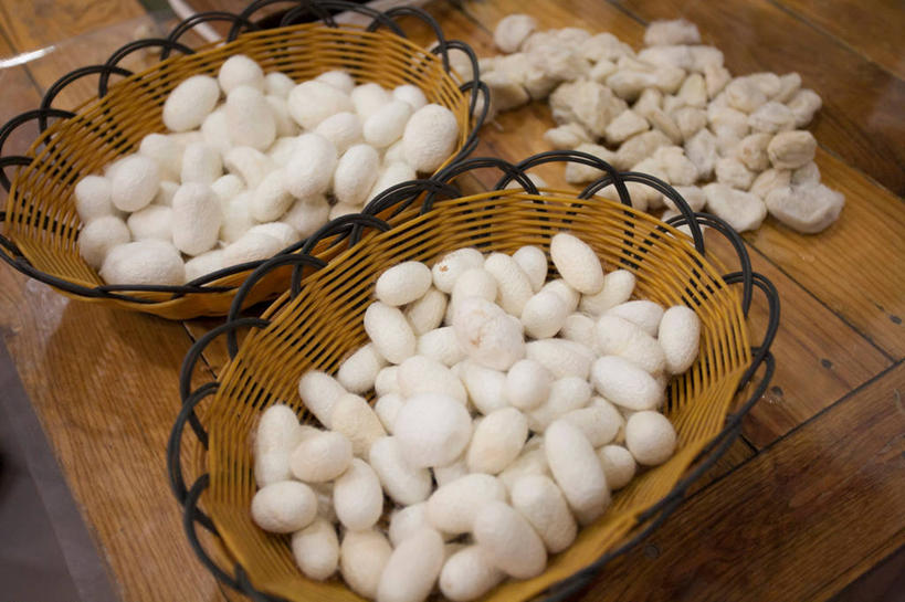 无人,交叉,横图,俯视,室外,特写,白天,桌子,竹子,一堆,许多,阴影,堆叠,堆积,竹制,朦胧,模糊,编织,反射,木制,篮子,影子,很多,书桌,两个,白色,课桌,木制品,竹篮,竹条,堆,交织,竹制品,穿插,蚕茧,家蚕茧,桑蚕茧,彩图,高角度拍摄