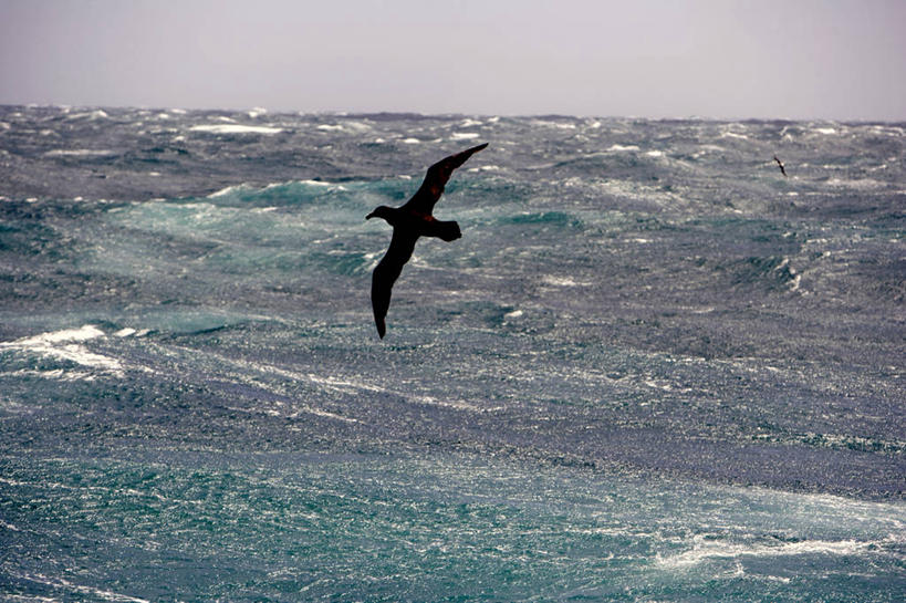 无人,横图,室外,探险,南极,冰山,暴风雨,破坏,绿色,波浪,摄影,南极洲,冒险,彩图,半岛