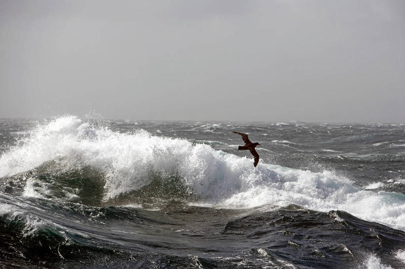无人,竖图,室外,探险,南极,冰山,暴风雨,破坏,绿色,波浪,摄影,南极洲,冒险,彩图,半岛