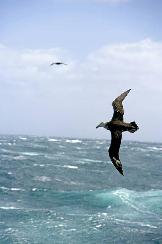 无人,竖图,室外,探险,南极,冰山,暴风雨,破坏,绿色,波浪,摄影,南极洲,冒险,彩图,半岛
