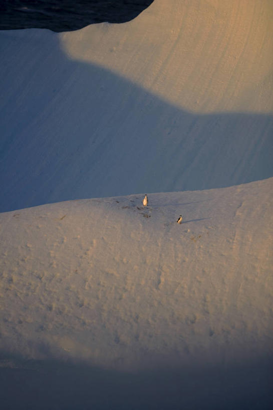 无人,横图,室外,山,雪,日光,冰,山顶,云,摄影,气象,气候,南极洲,冰河,南极半岛,彩图,西南极洲,半岛