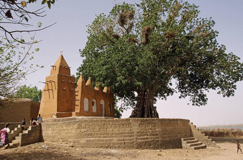 成年人,一个人,竖图,日光,非洲,马里,仅一个女性,阴影,头巾,头饰,痕迹,社区,摄影,麻花辫,肖像,疤痕,阿非利加洲,马里共和国,西非,伤疤,伤痕,莫普提,莫普提区,女人,彩图,传统文化