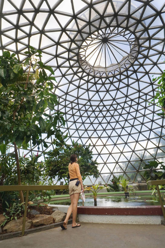 儿童,成年人,一个人,微笑,竖图,彩色,快乐,项链,珠宝,非洲,马里,摄影,五颜六色,色彩斑斓,五彩缤纷,五彩斑斓,耳饰,西非,项坠,五光十色,橡皮圈,女孩,女人,发型,彩图,传统文化,美人