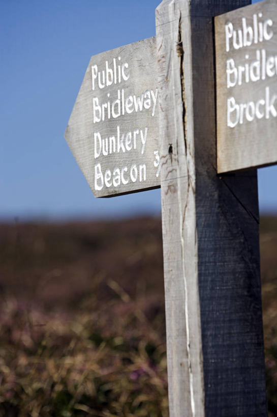 无人,竖图,室外,旅游,英国,欧洲,木制,旷野,小路,北,英格兰,摄影,国家公园,金雀花,方向标,欧洲蕨,步行,彩图,旅行,西南英格兰