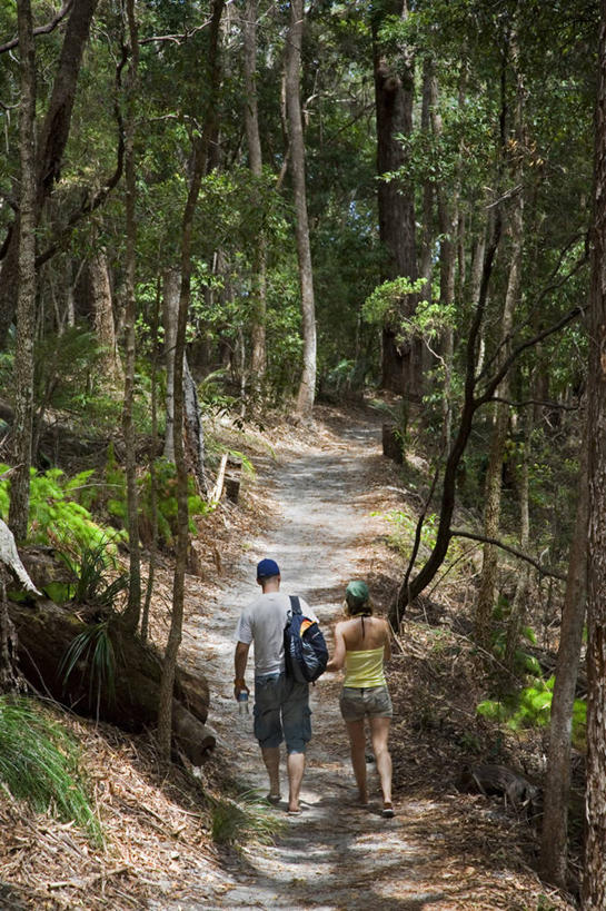 无人,博物馆,横图,旅游,建筑,英国,欧洲,房屋,宏伟,历史,英格兰,地标建筑,夏天,摄影,复杂,住房,华贵,英国文化,多塞特郡,彩图,旅行,西南英格兰,上层阶级