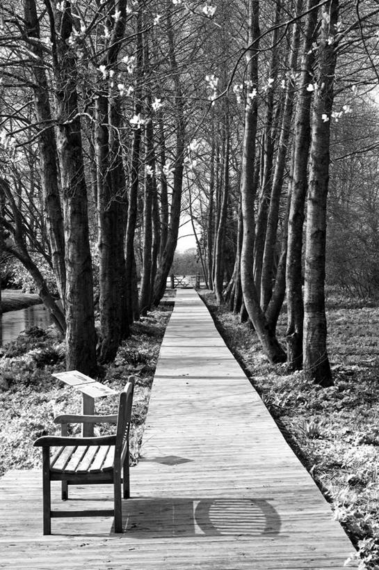 无人,博物馆,横图,室外,旅游,植物,建筑,英国,欧洲,正装,房屋,首都,宏伟,历史,英格兰,地标建筑,夏天,摄影,复杂,住房,华贵,英国文化,多塞特郡,彩图,旅行,西南英格兰,上层阶级,景观设计