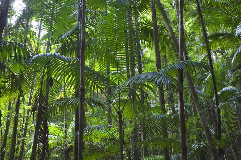 儿童,兄弟,姐妹,竖图,黑白,旅游,建筑,英国,欧洲,行人,游客,游人,正装,房屋,人行道,宏伟,文艺复兴,历史,英格兰,路人,旅客,地标建筑,摄影,复杂,住房,英国文化,过客,男孩,男性,女孩,女性,步行,彩图,旅行,西南英格兰