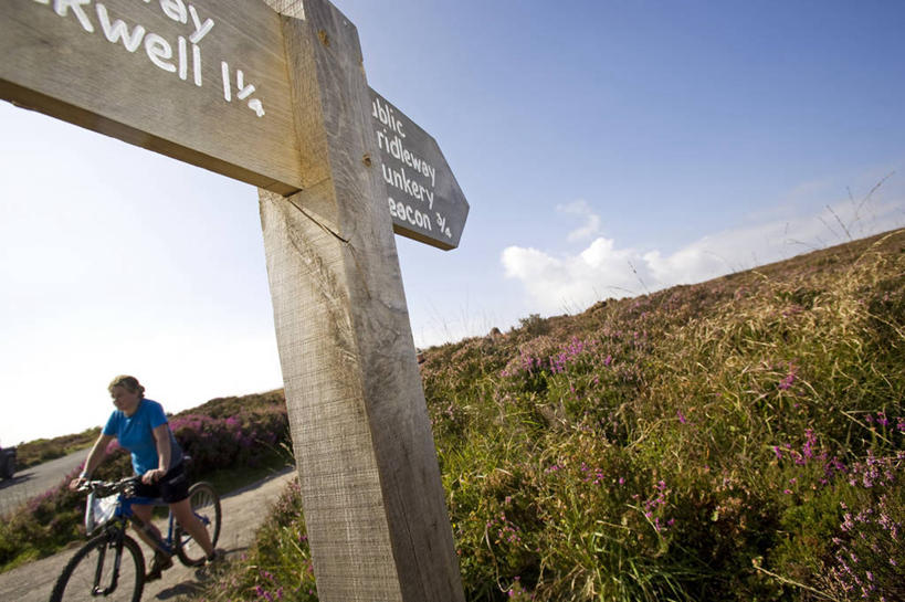 成年人,一个人,竖图,室外,沙漠,日光,非洲,马里,仅一个男性,阴影,沙子,头巾,头饰,骆驼,衣服,动物,运输,摄影,伊斯兰教,西非,男人,彩图,旅行,传统文化,图阿雷格人,游牧民族