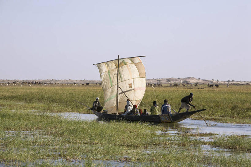 划船,成年人,横图,室外,河流,水,船,非洲,马里,尼日尔,木制,杆,帆,运输,摄影,航海,西非,荡舟,美术工艺,男人,彩图,旅行,传统文化