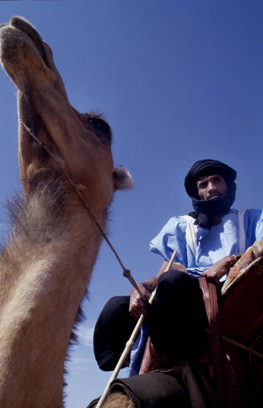成年人,一个人,微笑,竖图,制服,沙漠,非洲,毛里塔尼亚,仅一个男性,士兵,头巾,头饰,骆驼,发饰,人体,摄影,伊斯兰教,肖像,军服,警官,非洲文化,撒哈拉沙漠,男人,非洲人,中东人,彩图,传统服装,策骑者,骑师,赛马骑师,传统文化,法律,贝多因人