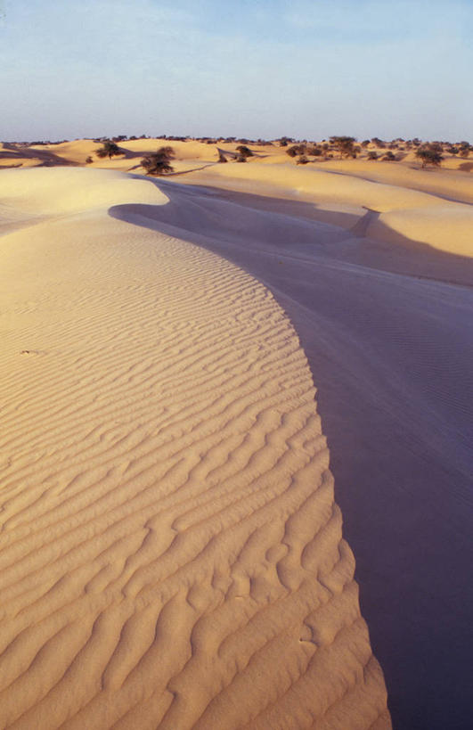 无人,竖图,室外,白天,沙漠,非洲,毛里塔尼亚,阴影,沙子,地平线,地形,光,辽阔,地面,沙丘,蓝色,风景,天空,广阔,摄影,宁静,一望无际,延伸,天地相交,努瓦克肖特,无边无际,一马平川,撒哈拉沙漠,式样,彩图