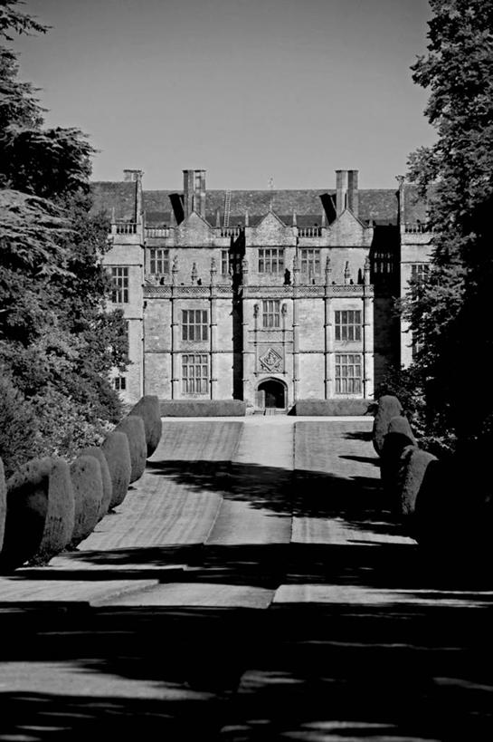 无人,吸烟,横图,室外,瀑布,森林,树林,植物,西班牙,欧洲,美国,绿色,大西洋,摄影,亚速群岛,大西洋群岛,天堂镇,彩图,白内障