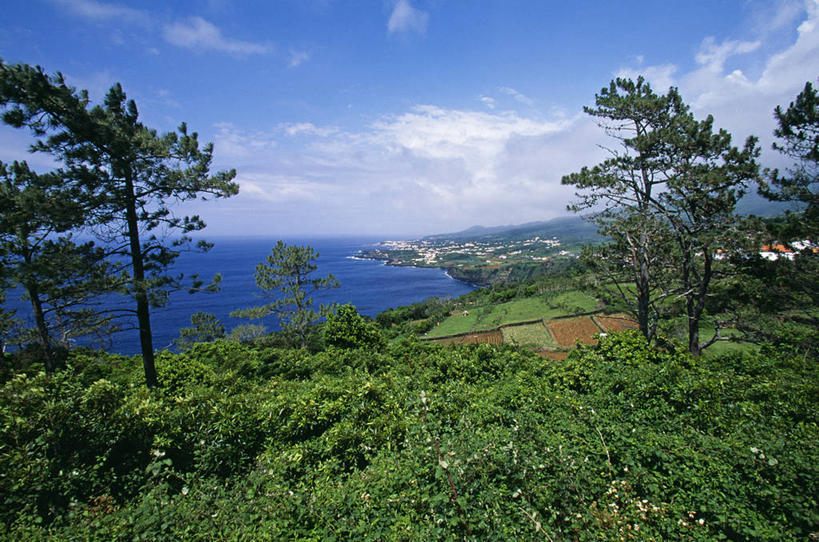 无人,教堂,横图,室外,旅游,河流,城市,建筑,英国,欧洲,塔,山谷,历史,英格兰,摄影,宗教,复杂,西欧,宗教建筑,大不列颠,圣玛丽,大不列颠及北爱尔兰联合王国,大不列颠及爱尔兰联合王国,西米德兰兹郡,英吉利,西米德兰兹,伍斯特,塞文河,彩图,旅行,大教堂,西南英格兰,大不列颠王国,大英帝国,联合王国,日不落帝国,英国国教,泛滥平原