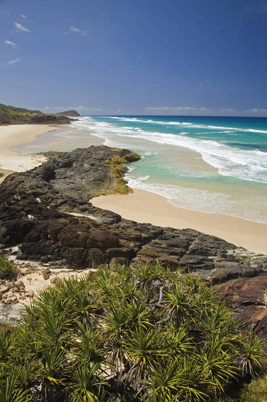 无人,竖图,全景,室外,海浪,海洋,棕榈树,澳大利亚,地形,历史,树,蓝色,风景,天空,自然,摄影,太平洋,国家公园,清单,肖像,昆士兰州,弗雷泽岛,海滩,彩图,旅行