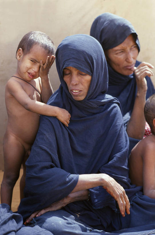 成年人,一个人,图书管理员,图书馆,竖图,沙漠,非洲,毛里塔尼亚,仅一个男性,工作,墨水,书法,头巾,头饰,艺术品,水笔,发饰,手稿,赤脚,管理员,摄影,创造力,手艺,非洲文化,经文,撒哈拉沙漠,羊皮纸,技能,美术工艺,男人,非洲人,书,彩图,传统服装,传统文化