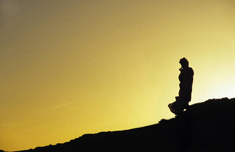 无人,竖图,室外,野生动物,猴子,马来西亚,亚洲,生气,大喊,自然,愤怒,摄影,东南亚,热带雨林,婆罗洲,长鼻猴,加里曼丹岛,婆罗洲岛,马来西亚联邦,沙巴州,彩图,生态多样性,雨林