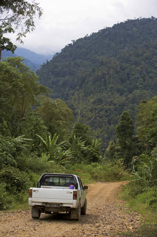 无人,竖图,室外,河流,瀑布,汽车,野生动物,马来西亚,亚洲,南海,自然,摄影,东南亚,四驱车,婆罗洲,加里曼丹岛,婆罗洲岛,马来西亚联邦,沙巴州,冒险,彩图,生态多样性,雨林