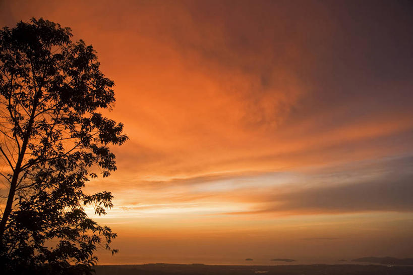 无人,横图,室外,日落,森林,植物,马来西亚,亚洲,树,粉色,自然,橙色,摄影,东南亚,热带雨林,婆罗洲,加里曼丹岛,婆罗洲岛,马来西亚联邦,沙巴州,彩图,生态多样性,雨林