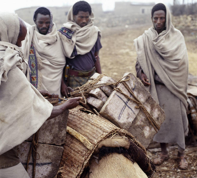 成年人,农民,农场,横图,农业,非洲,埃塞俄比亚,乐谱,牛车,家畜,摄影,牲畜,非洲文化,男人,男性,野牛,彩图,传统文化