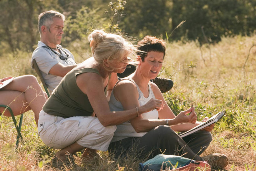 横图,旅游,度假,野生动物,非洲,南非,行人,游客,游人,研究,艺术,路人,旅客,自然,动物,艺术家,摄影,知识,草图,志愿者,林波波省,美术工艺,过客,画画,彩图,旅行