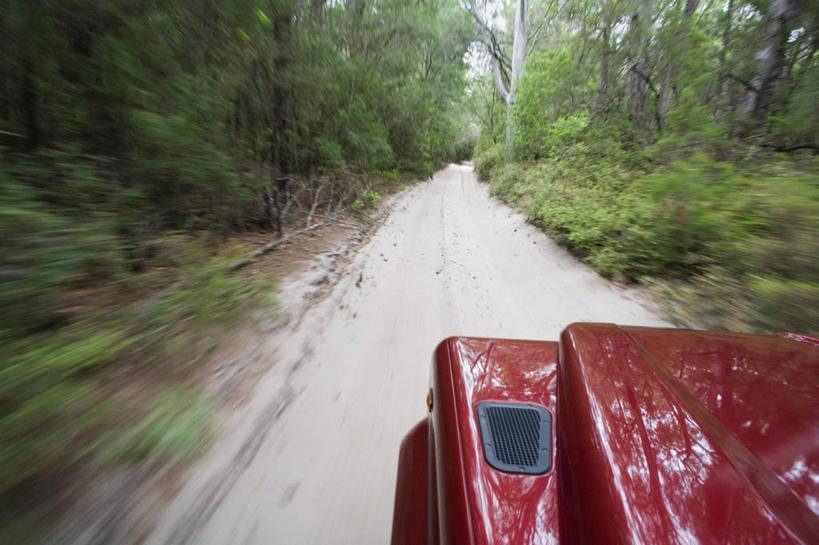 无人,横图,室内,森林,汽车,澳大利亚,地形,陆地,小路,山地车,历史,树,红色,风景,摄影,灌木,国家公园,清单,驾车,四驱车,昆士兰州,弗雷泽岛,冒险,彩图,旅行,雨林