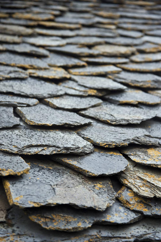 儿童,成年人,两个人,竖图,非洲,埃塞俄比亚,装饰,摄影,项坠,女孩,女人,彩图,传统文化