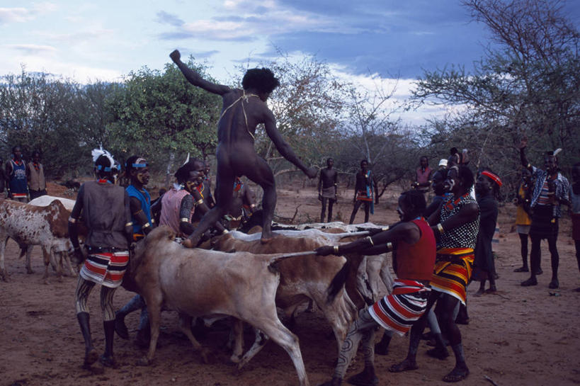 成年人,跳,横图,非洲,埃塞俄比亚,乡村,动物,摄影,唱,男人,男性,彩图,舞蹈,传统文化
