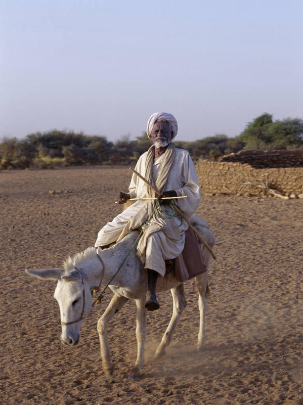 竖图,室外,沙漠,水,马,苏丹,家畜,摄影,井,牲畜,伊斯兰教,撒哈拉沙漠,山羊,绵羊,彩图