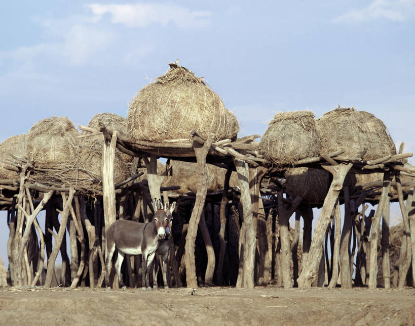 无人,横图,沙漠,苏丹,沙子,热,地标建筑,金字塔,摄影,古代文明,撒哈拉沙漠,彩图