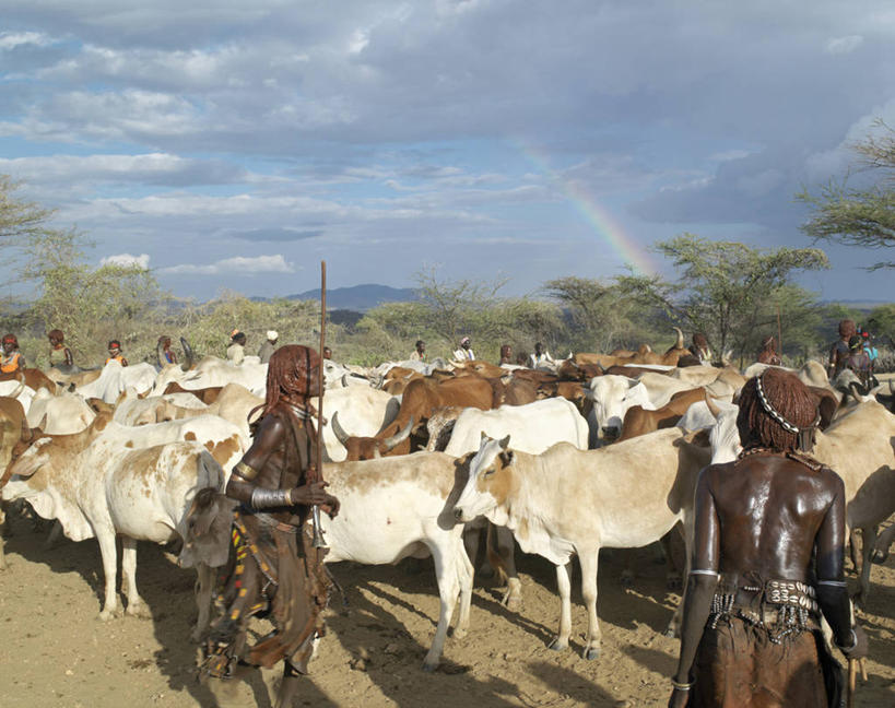 成年人,人群,横图,生产线,彩虹,牛,项链,非洲,埃塞俄比亚,庆祝,装饰,珠子,乐器,皮革,小号,音乐,摄影,手镯,发辫,肖像,典礼,非洲文化,瘤牛,紫贝,女人,非洲人,彩图,传统服装,传统文化