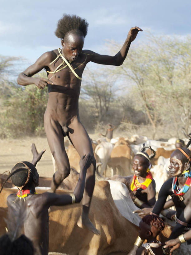 成年人,跳,竖图,牛,项链,非洲,埃塞俄比亚,珠子,摄影,牲畜,典礼,非洲文化,瘤牛,男人,彩图,传统服装,传统文化