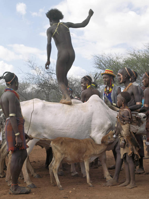 成年人,横图,牛,非洲,埃塞俄比亚,摄影,牲畜,非洲文化,男人,男性,山羊,彩图,传统服装,传统文化