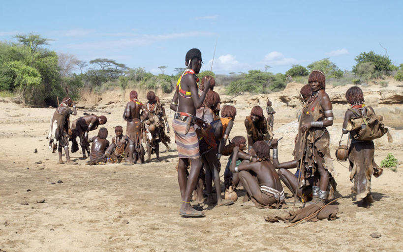 成年人,横图,牛,非洲,埃塞俄比亚,摄影,牲畜,非洲文化,男人,男性,山羊,彩图,传统服装,传统文化