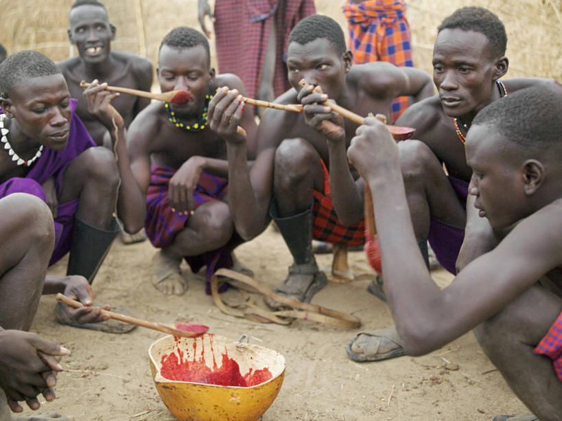 成年人,人群,吃,横图,室外,牛,非洲,埃塞俄比亚,木制,弓箭,葫芦,勺子,食品,箭,木制品,调羹,汤匙,血液,摄影,牲畜,非洲文化,瘤牛,男人,彩图,传统服装,传统文化