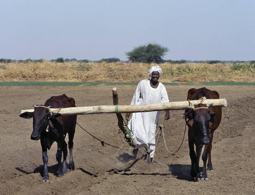 冲浪,成年人,人群,学生,横图,室外,度假,运动,海浪,海洋,水,城市,澳大利亚,冲浪板,沙子,地形,海岸线,训练,蓝色,风景,天空,黑板,波浪,教室,摄影,生活方式,活动,太平洋,知识,悉尼,新南威尔士,开端,马里布,男人,女人,海滩,休闲活动,彩图,旅行