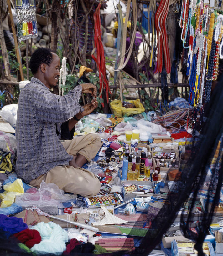 无人,横图,室外,海鸟,野生动物,信天翁,一群,许多,鸟类,鸟巢,悬崖,很多,小鸟,动物,大西洋,摄影,福克兰群岛,黑眉信天翁,彩图,大海鸟