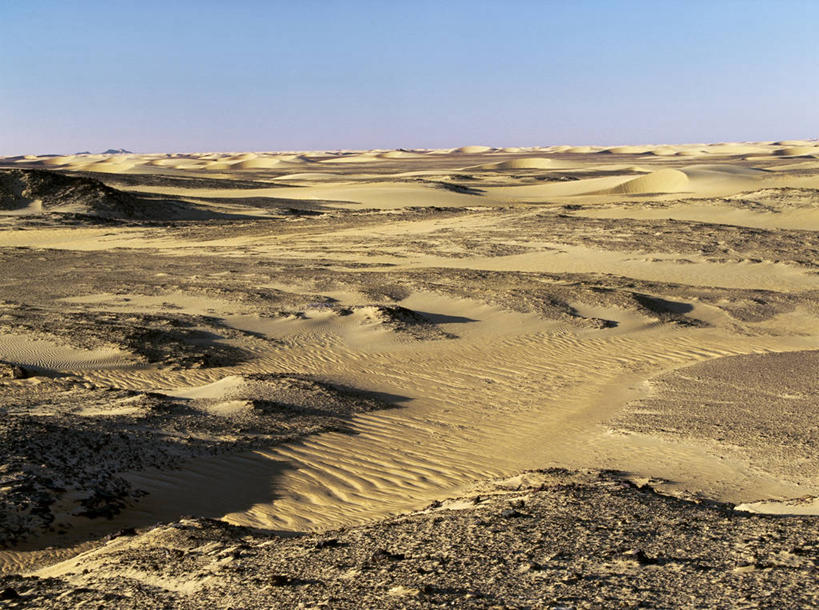 成年人,一个人,竖图,室外,沙漠,苏丹,仅一个男性,沙子,骆驼,家畜,摄影,牲畜,伊斯兰教,肖像,撒哈拉沙漠,男人,彩图,独处,栋古拉