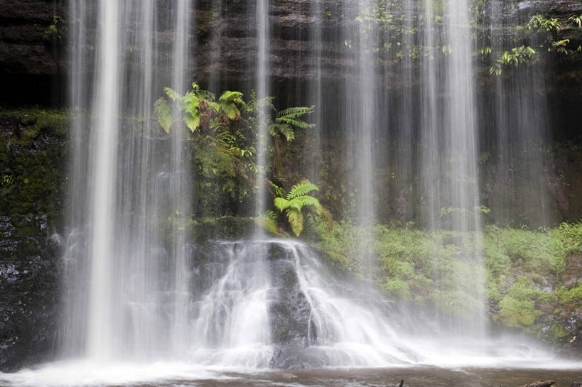 无人,横图,室外,瀑布,森林,水,澳大利亚,自然,摄影,环境,国家公园,塔斯马尼亚,纯净,彩图
