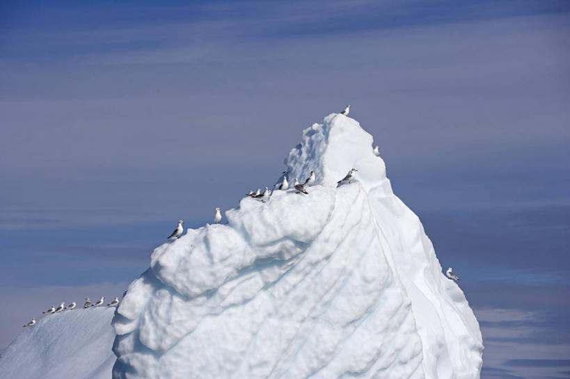 无人,横图,室外,北极,冰山,全球变暖,旗帜,日光,欧洲,海岸线,拱门,北,冰川,寒冷,摄影,气象,环境,气候,冰河,彩图