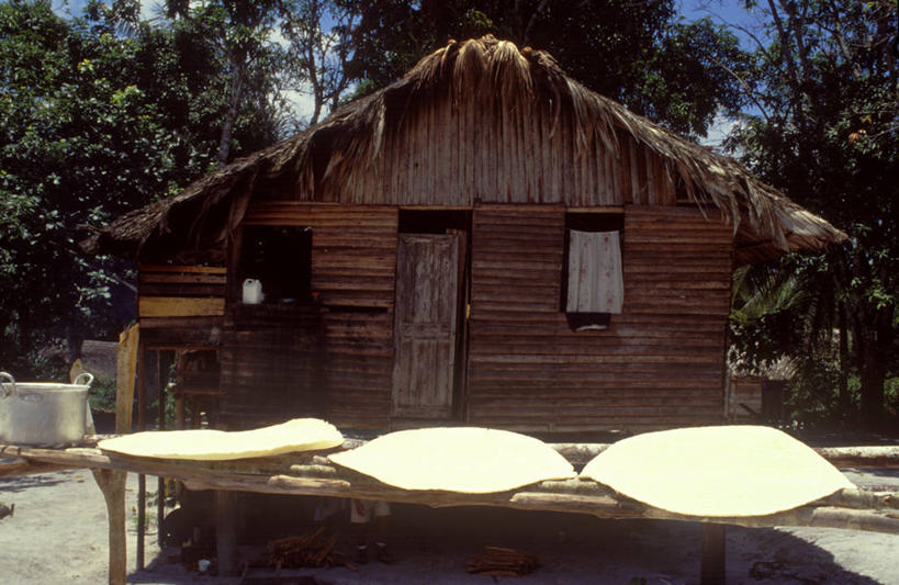 无人,横图,圭亚那,木制,房屋,屋顶,南美,摄影,生活方式,住房,高跷,彩图,小屋,传统文化