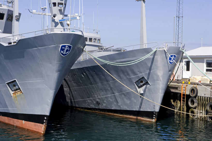 成年人,两个人,人群,渔夫,横图,室外,友谊,合作,团队,北极,城市,帽子,欧洲,冰岛,工作,雕像,岛,海岸线,首都,鱼类,衣服,看,大西洋,摄影,观看,气象,气候,北欧,合伙,生存,代表,北半球,机敏,雷克雅未克,男人,白领,海滩,彩图,钓鱼,伴侣,传统文化