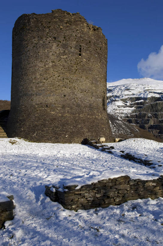 无人,竖图,室外,雪,英国,欧洲,城堡,冬天,塔,摄影,要塞,威尔士,英国文化,彩图,旅行,斯诺登峰,北威尔士