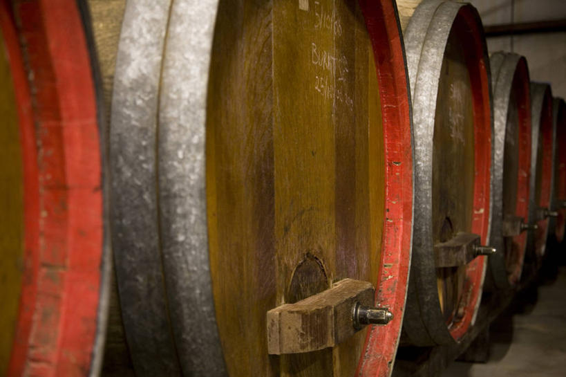 葡萄酒,无人,横图,室外,农业,澳大利亚,酒桶,葡萄园,摄影,悉尼,新南威尔士,彩图,猎人谷