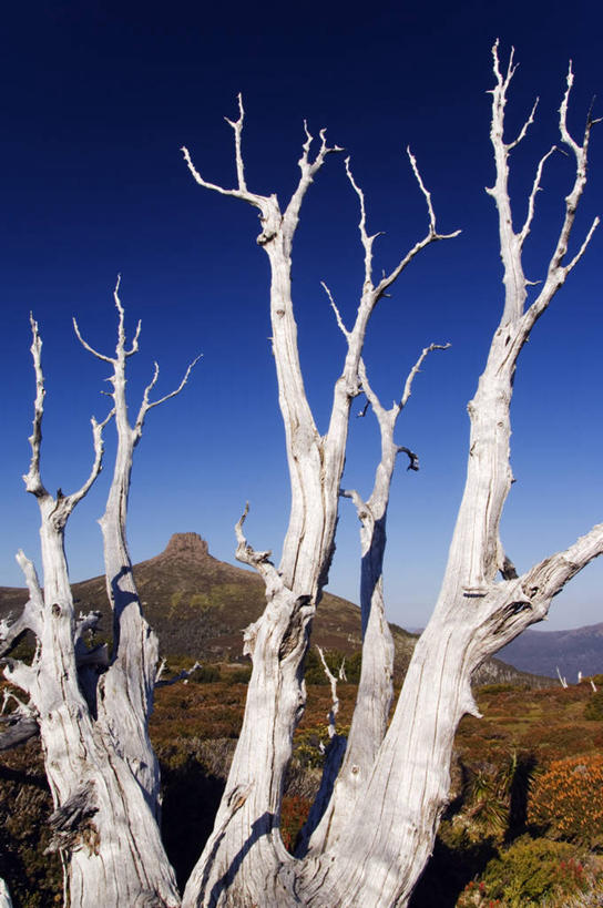 无人,竖图,旅游,探险,秘鲁,行人,游客,游人,巴士,双层巴士,路人,旅客,敞篷车,南美,摄影,拉丁美洲,过客,彩图,旅行