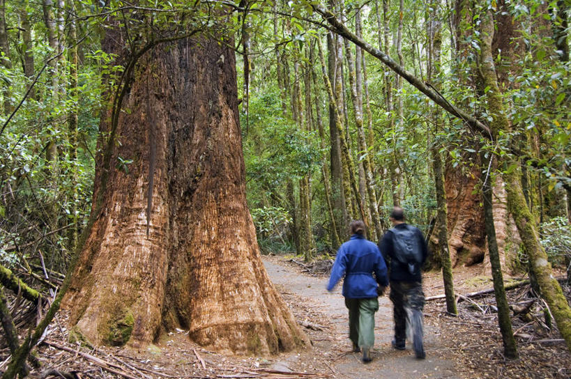 无人,竖图,旅游,探险,秘鲁,行人,游客,游人,巴士,双层巴士,路人,旅客,敞篷车,南美,摄影,拉丁美洲,过客,彩图,旅行