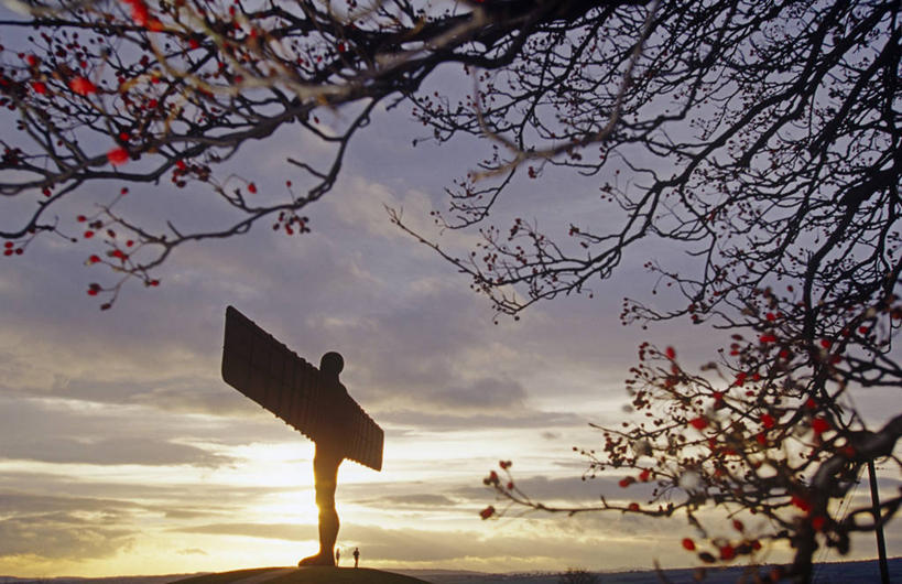无人,横图,室外,北极,山,雪,狗,挪威,欧洲,冰,冬天,寒冷,摄影,活动,雪橇,斯堪的纳维亚,雪橇犬,斯堪狄纳维亚半岛,斯瓦尔巴德群岛,彩图,旅行