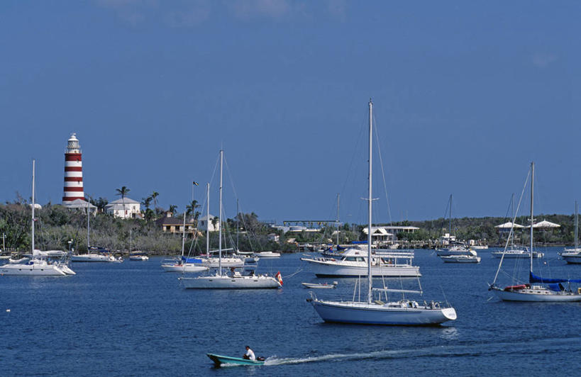 蛙泳,游泳,成年人,横图,室外,森林,树,摄影,活动,酷,女人,彩图,巴哈马群岛