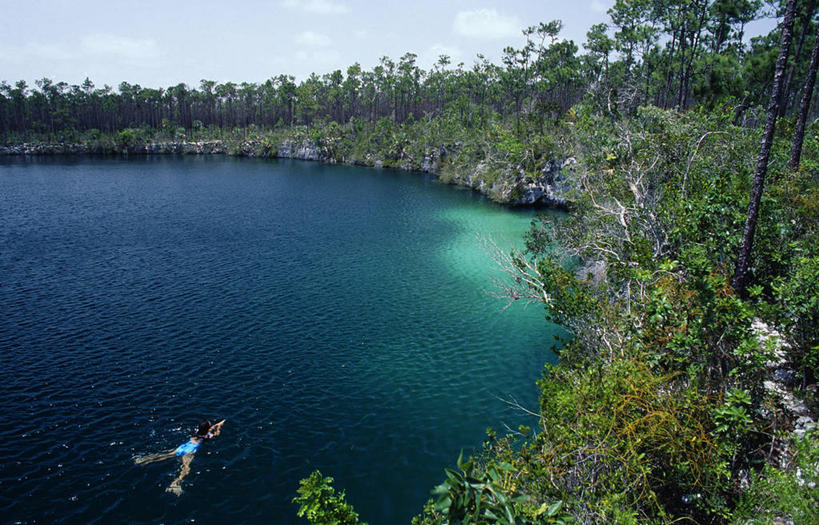 蛙泳,游泳,成年人,横图,室外,森林,树,摄影,活动,酷,女人,彩图,巴哈马群岛